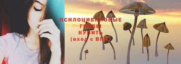 PSILOCYBIN Абдулино