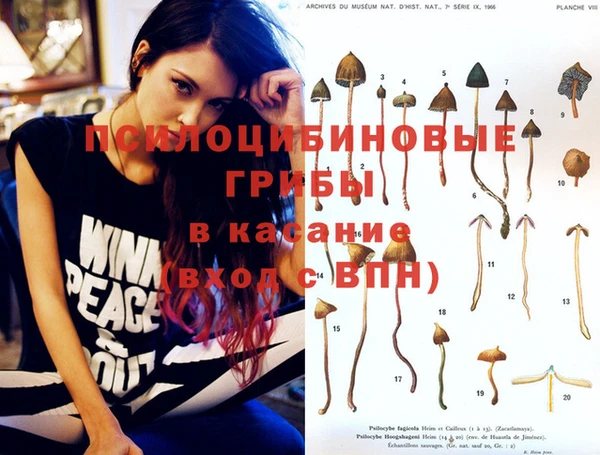 винт Абинск