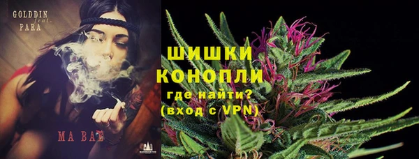 PSILOCYBIN Абдулино