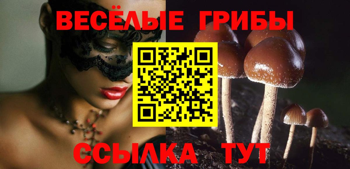 Шарыпово  Псилоцибиновые грибы прущие грибы  Вход с VPN 